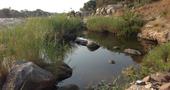 FOTO: South Afrika, Lesotho a Swaziland 2015