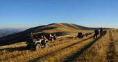 FOTO: Motobatt Extrem Ukraina 2014