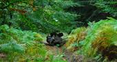FOTO: Motobatt Extrem Ukraina 2014